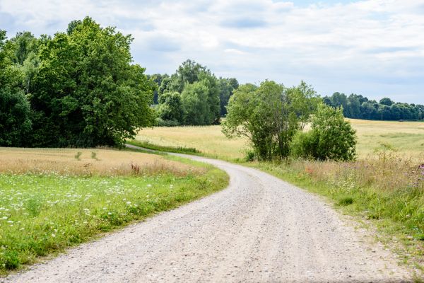 Cost of Stone Driveway Repair in Nashville