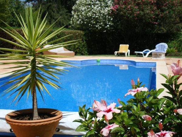 Cost of Pool Terrace Renovation in Nashville