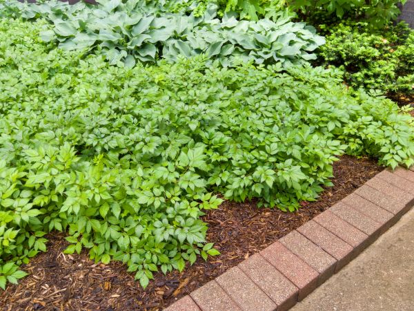 Cost of Brick Hardscaping in Nashville