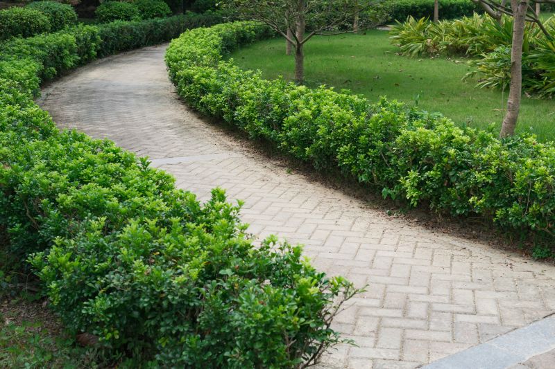 Walkway with Interlocking Pavers